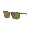 Ray-Ban RB4387 Havana Dark Brown