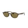 Ray-Ban RB4315 Havana Dark Brown