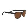 Serengeti Anteo Matte Tortoise / Matte Black-Polarized Drivers