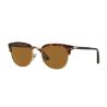 Persol 3105S Havana Crystal Brown