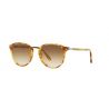 Persol 3210S Yellow Tortoise Brown gradient