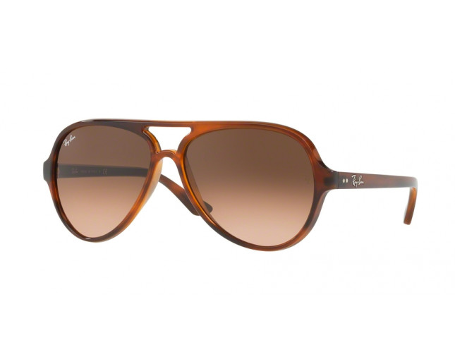 Ray-Ban Cats 5000 Stripped Havana Crystal Pink Gradient