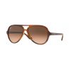 Ray-Ban Cats 5000 Stripped Havana Crystal Pink Gradient