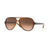 Ray-Ban Cats 5000 Light Havana Crystal Brown Gradient