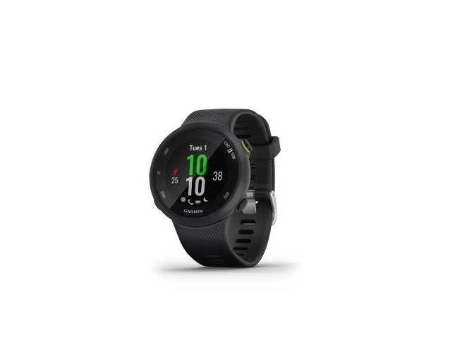 Garmin Forerunner 45 Large Noire