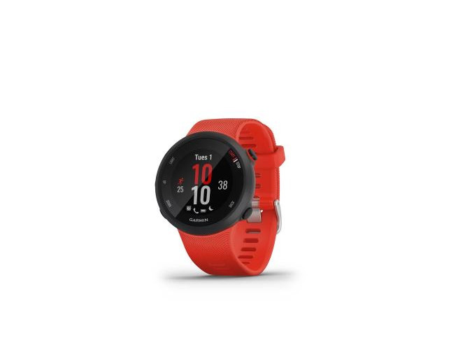 Garmin Forerunner 45 Large Rouge