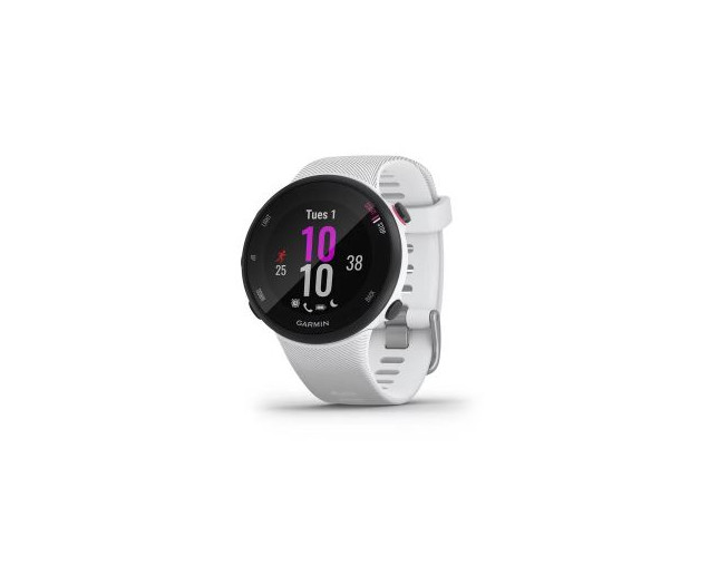 Garmin Forerunner 45 Large Blanche