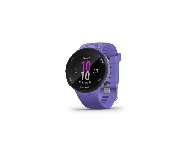 Forerunner 45 small sale