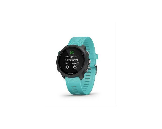 Garmin Forerunner 245 Music Noire Bracelet Vert d'eau - 010-02120-32 -  Montres Outdoor et GPS - IceOptic