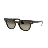 Ray-Ban Meteor Stripped Havana Clear Gradient Brown