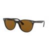 Ray-Ban Wayfarer II Havana Crystal Brown Polar