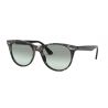 Ray-Ban Wayfarer II Black Crystal Green