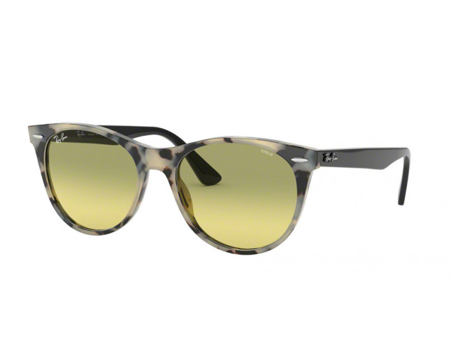 ray ban beige havana