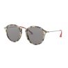 Ray-Ban RB2447 Beige Havana Grey Polar