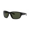 Ray-Ban RB4300 Black Green Crystal