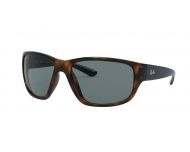 Ray-Ban RB4300 Havana Polar Blue Crystal