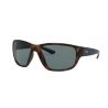 Ray-Ban RB4300 Havana Polar Blue Crystal