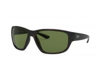 Ray-Ban RB4300 Transparent Grey Green Polar Crystal