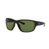 Ray-Ban RB4300 Transparent Grey Green Polar Crystal