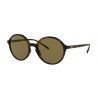 Ray-Ban RB4304 Havana Dark Brown