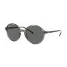 Ray-Ban RB4304 Transparent Grey Dark Grey