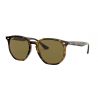 Ray-Ban RB4306 Havana Dark Brown 