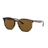 Ray-Ban RB4306 Havana Dark Brown Polar