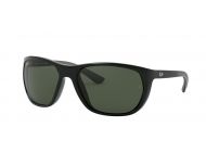 Ray-Ban RB4307