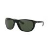 Ray-Ban RB4307 Black Green