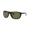 Ray-Ban RB4307 Black Polar Green 