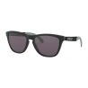 Oakley Frogskins Mix Matte Black-Prizm Gray