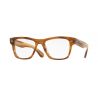 Oliver Peoples Oliver Raintree