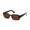 Moncler ML0123   Shiny Tortoise Brown Smoke