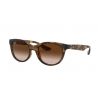 Ray-Ban Junior RJ9068S Havana Brown Lenses