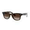 Ray-Ban Junior RJ9066S Havana Brown Gradient