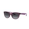 Ray-Ban Junior RJ9068S Havana Brown Lenses