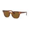 Ray-Ban Meteor Havana Clear Gradient Brown