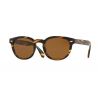 Oliver Peoples Sheldrake Sun Semi Matte Black Crystal Midnight Experess Polar