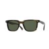 Oliver Peoples Lachman Sun Bark Grey Polar