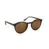 Moken Leon Tortoise Brown Polarized