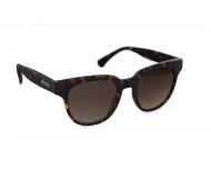 Moken Astero Tortoise Brown Polarized