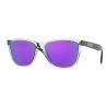 Oakley Frogskins 35th Anniversary Collection Primary Polished Clear Prizm Violet