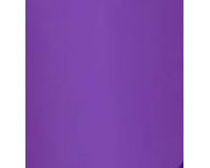 Anon Ecran Helix 2.0 Perceive Variable Violet