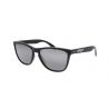 Oakley Frogskins 35th Anniversary Collection Matte Black-Prizm Black