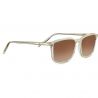 Serengeti Lenwood Shiny Caramel-Polarized 555nm