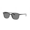 Ray-Ban Leonard Stripped Grey Dark Grey