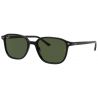 Ray-Ban Leonard Black Green G-15