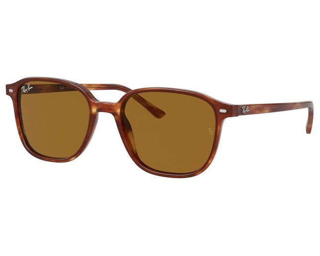 Ray-Ban Leonard Havana Green