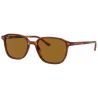 Ray-Ban Leonard Havana Green