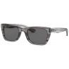 Ray-Ban Caribbean Stripped Grey Dark Grey